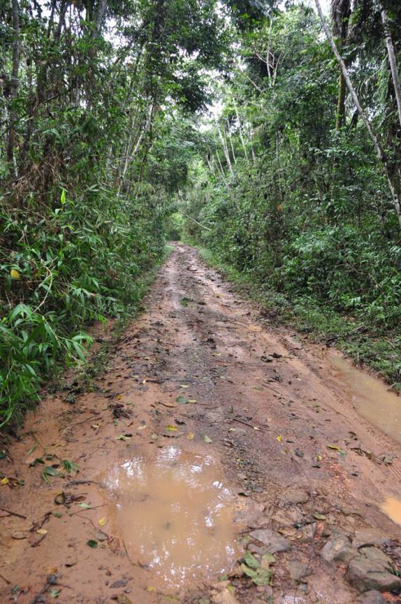 Dirigindo no Parque Nacional Viruá, em Roraima